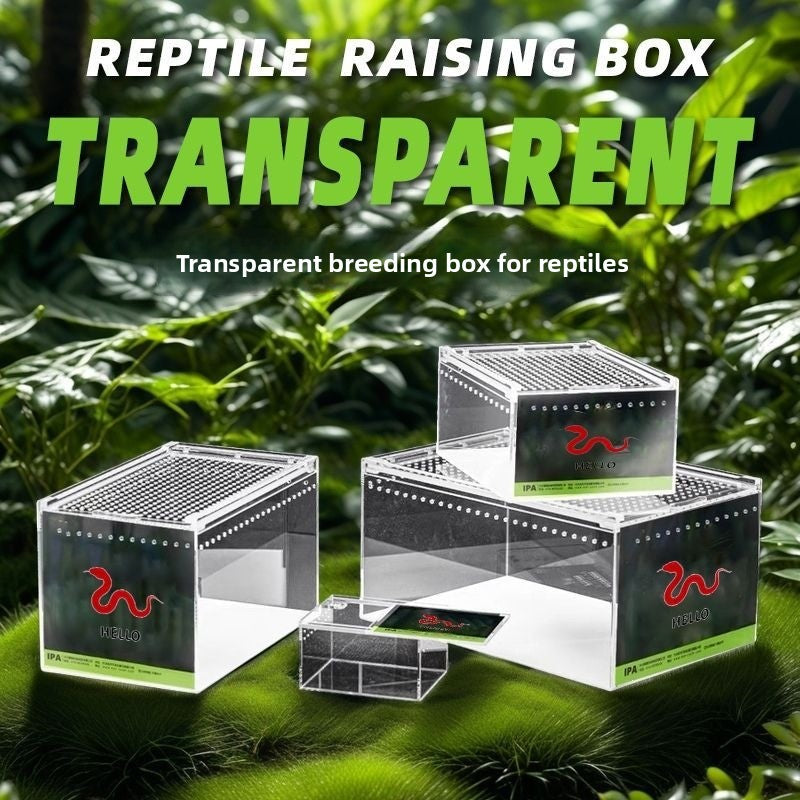 Seamless Reptile Breeding Enclosure Box – Leak-Proof Insect Habitat and Brooder Station