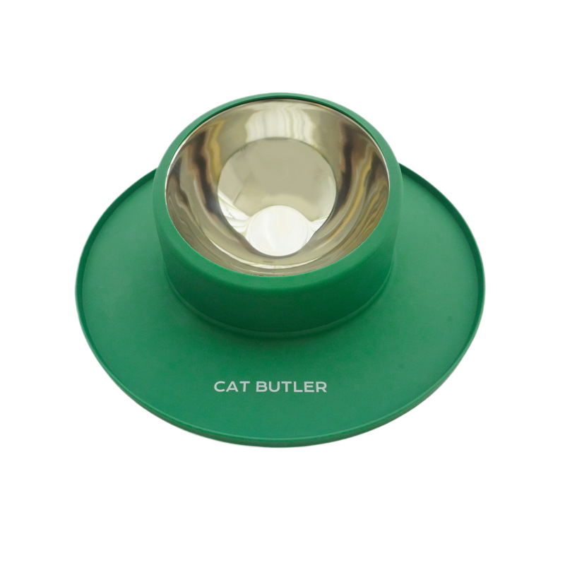 Anti-Slip Dual Silicone Pet Bowl – No-Spill Elevated Food And Water Mat Station