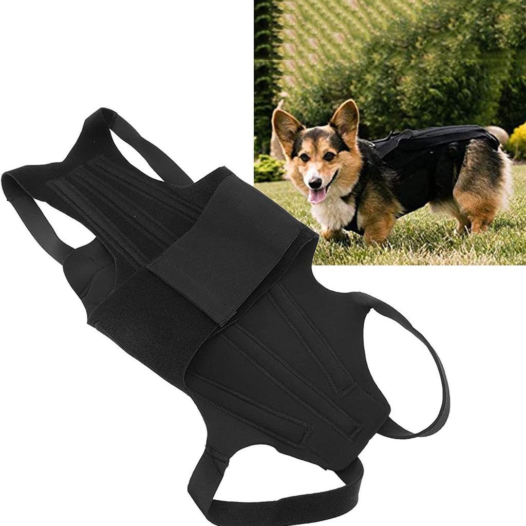 Adjustable Dog Back Support Vest – Spinal Protection And Recovery Rehabilitation Wrap