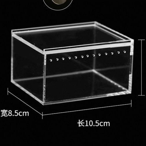 Seamless Reptile Breeding Enclosure Box – Leak-Proof Insect Habitat and Brooder Station