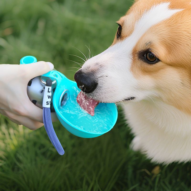 Foldable Stainless Steel Pet Water Bottle – Portable Leak-Proof Travel Drinking Dispenser