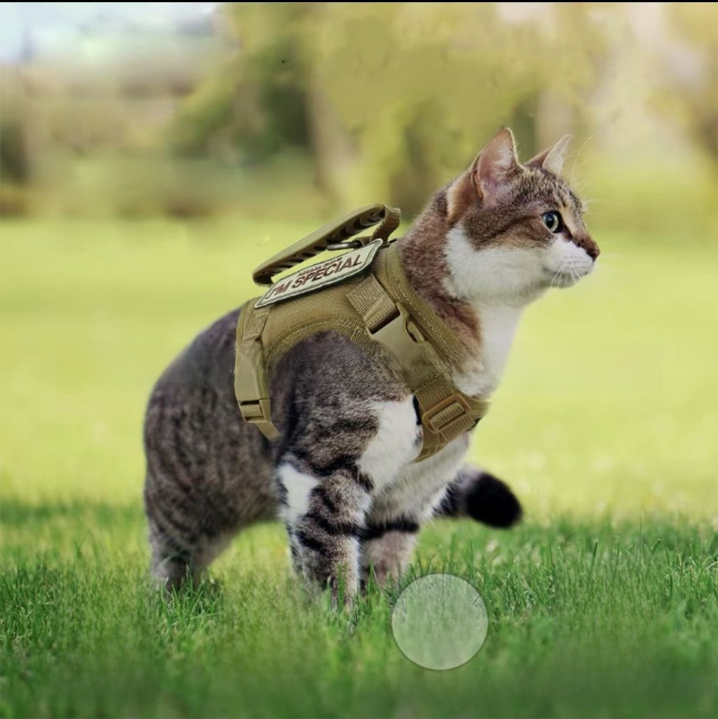 No-Pull Tactical Cat Walking Vest Harness – Breathable Reflective Escape-Proof Traction Set