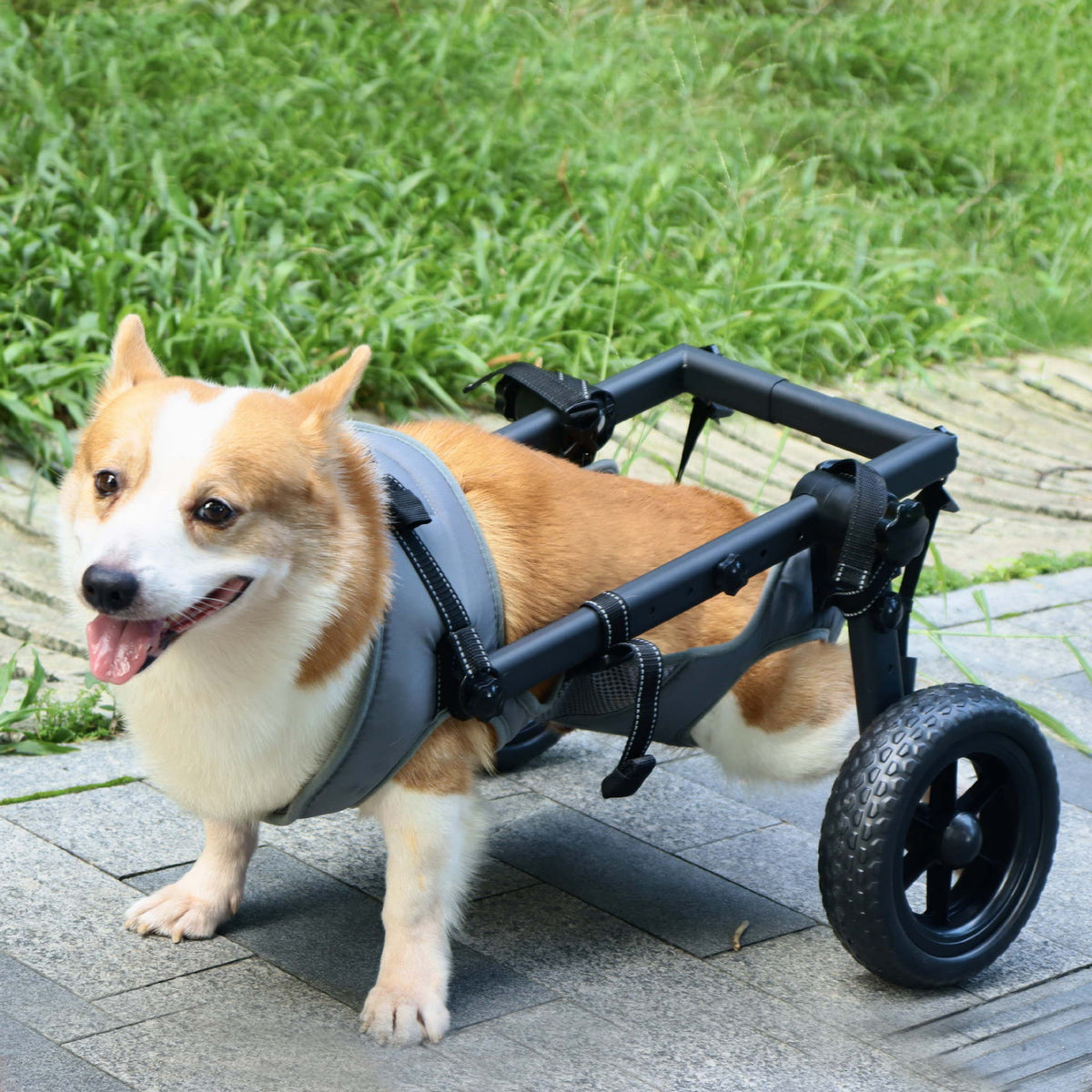 Adjustable Multi-Wheel Pet Dog Wheelchair – Foldable Hind Limb Mobility Rehabilitation Cart
