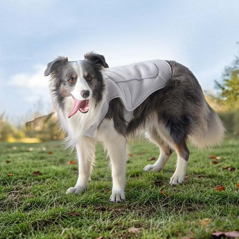 Advanced Cooling Technology Summer Dog Vest – Lightweight UV Protection Breathable Wrap