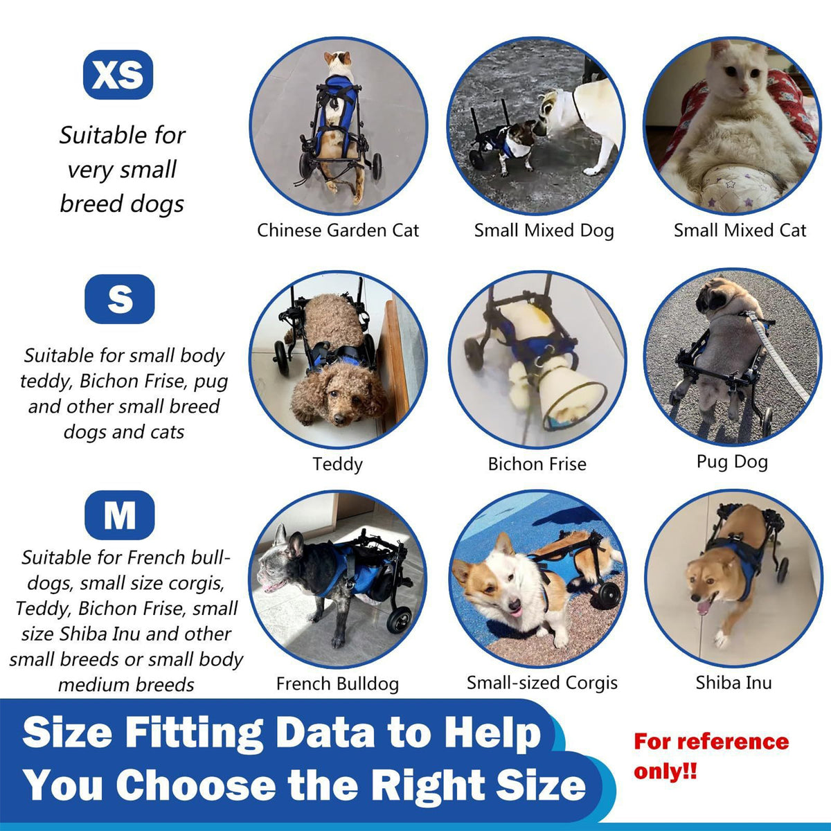 Adjustable Metal Pet Rehabilitation Cart – Foldable Hind Leg Mobility Walking Aid