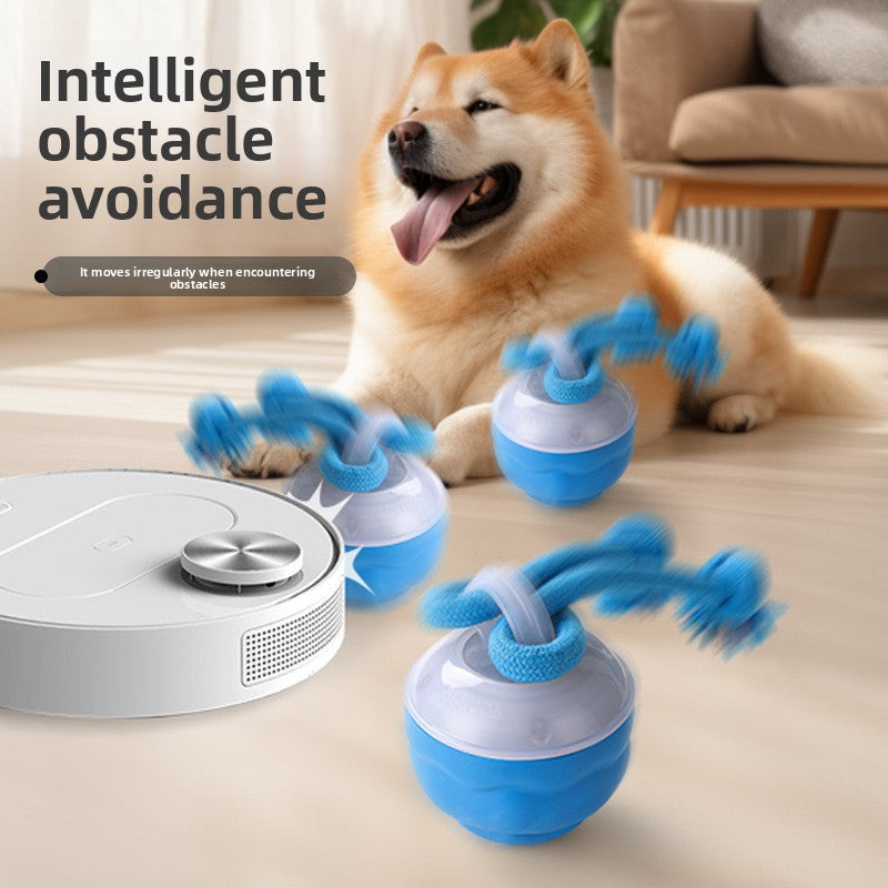 Smart Rechargeable Interactive Dog Ball – Light Sound Bite-Resistant Dental Training Toy