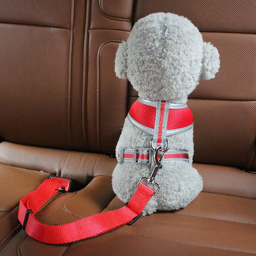 3-in-1 Retractable Elastic Dog Seat Belt – Heavy-Duty Anti-Shock Outdoor Training Safety Lead