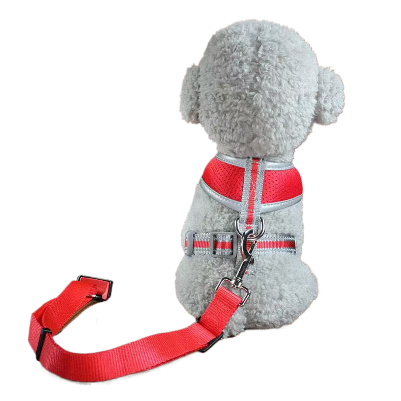 3-in-1 Retractable Elastic Dog Seat Belt – Heavy-Duty Anti-Shock Outdoor Training Safety Lead