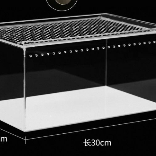 Seamless Reptile Breeding Enclosure Box – Leak-Proof Insect Habitat and Brooder Station