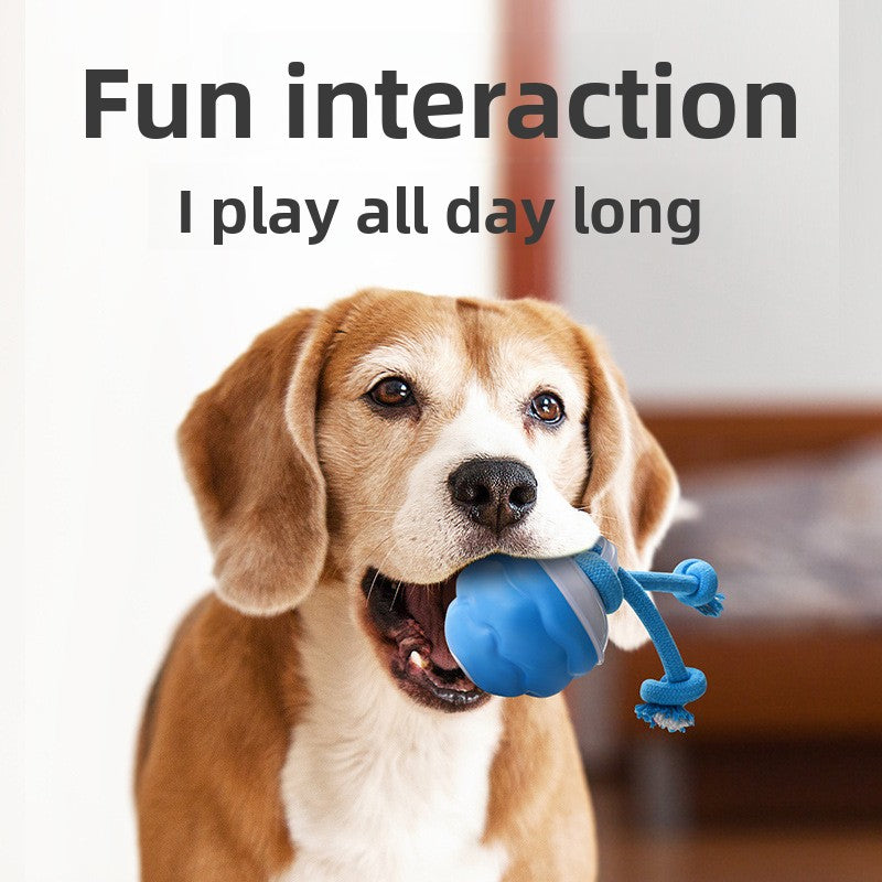 Smart Rechargeable Interactive Dog Ball – Light Sound Bite-Resistant Dental Training Toy