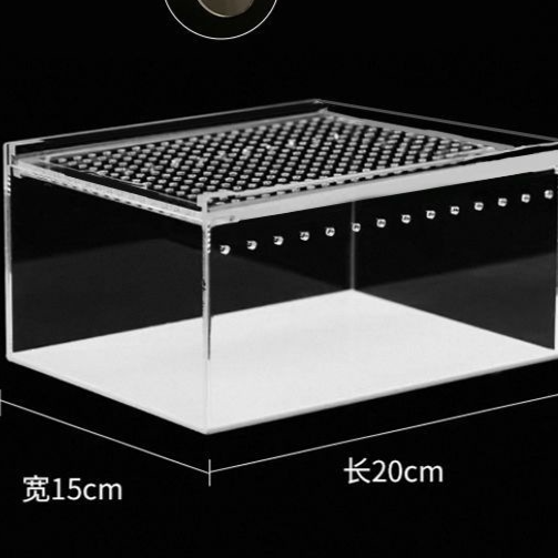 Seamless Reptile Breeding Enclosure Box – Leak-Proof Insect Habitat and Brooder Station