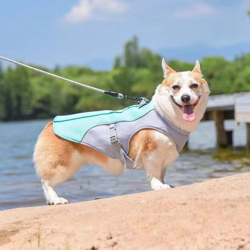 Breathable Temperature Regulating Dog Cooling Vest – Lightweight Everyday Walking Harness Wrap
