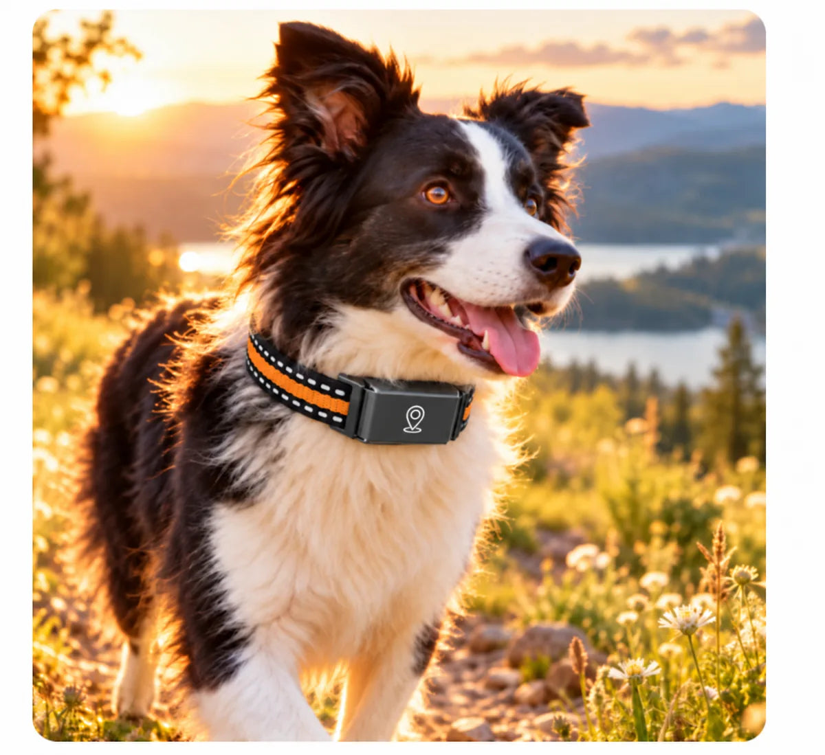 Smart 4G GPS Pet Tracker Collar – Real-Time Tracking IP65 Waterproof Electronic Fence Locator