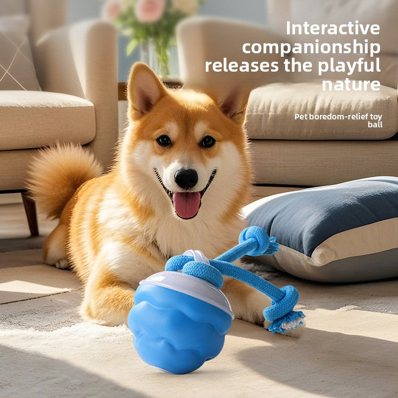Smart Rechargeable Interactive Dog Ball – Light Sound Bite-Resistant Dental Training Toy