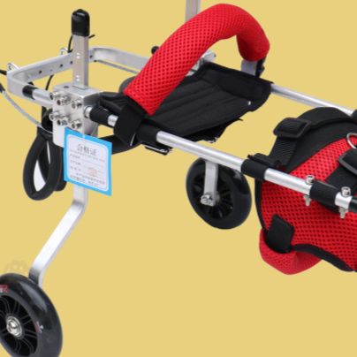 Two-Wheeled Aluminum Cat Wheelchair – Adjustable Hind Limb Mobility Rehabilitation Cart