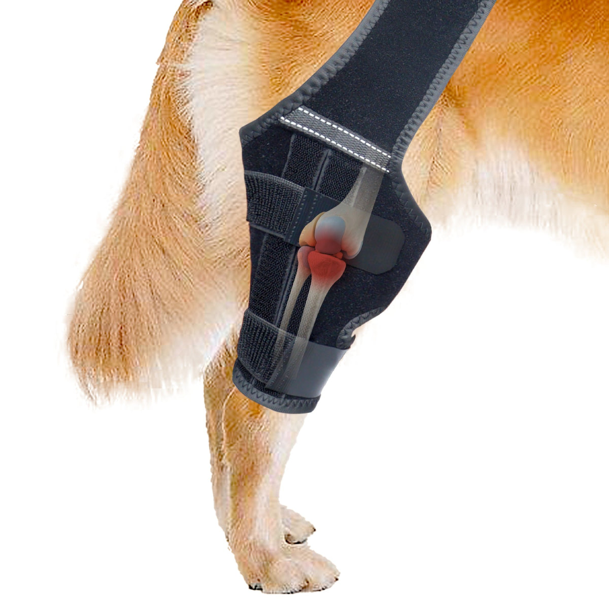 Adjustable Dog Hind Leg Joint Support Vest – Anti-Slip Breathable Mobility Protector