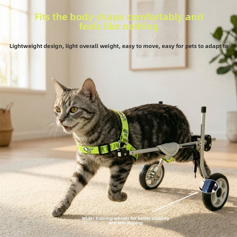 Adjustable Two-Wheeled Small Pet Wheelchair – Hind Leg Paralysis Mobility Rehabilitation Walker