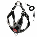 No-Choke Soft Padded Dog Leash Vest – Adjustable Reflective Night Safety Walking Set