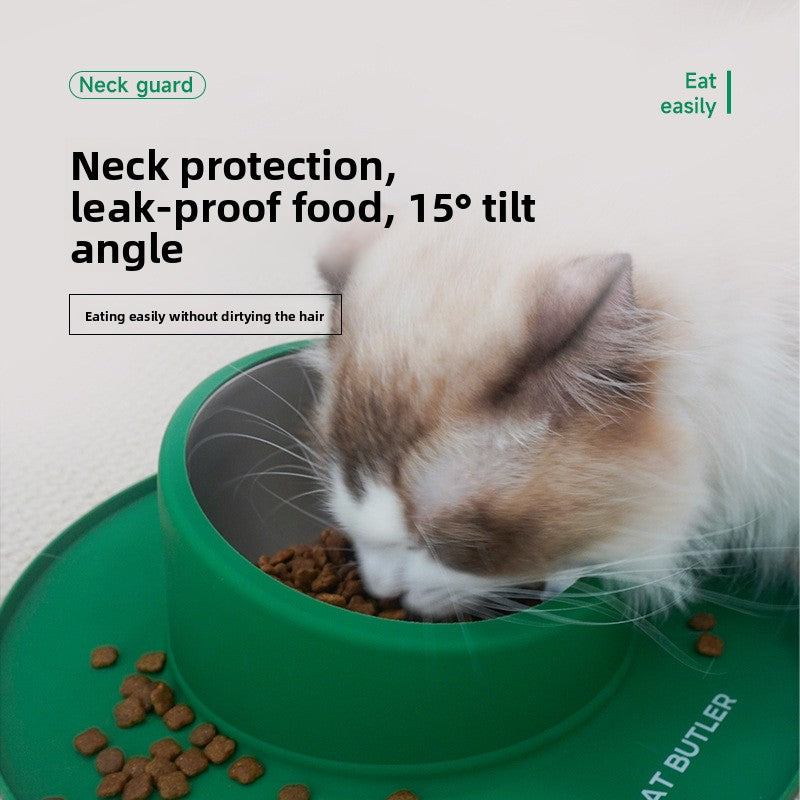 Anti-Slip Dual Silicone Pet Bowl – No-Spill Elevated Food And Water Mat Station