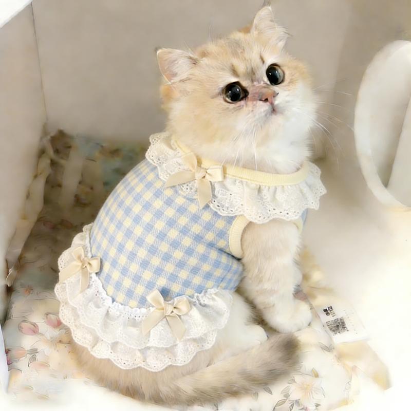 Elegant Princess Lace Cat Vest Dress – Thin Breathable Summer Anti-Shedding Loungewear