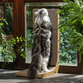 L-Shape Sisal Cat Scratch Board – Space-Saving Vertical Scratcher With Cozy Lounge Nest