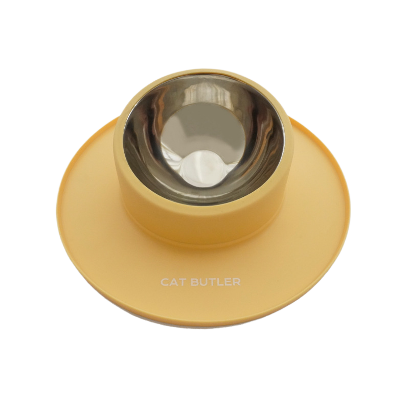 Anti-Slip Dual Silicone Pet Bowl – No-Spill Elevated Food And Water Mat Station