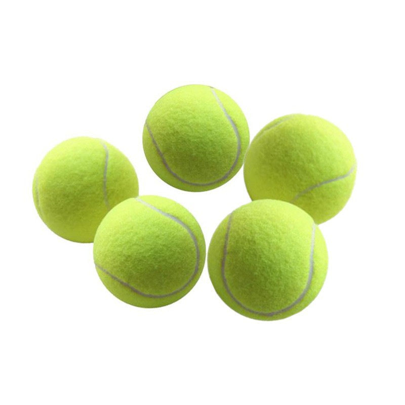 Interactive Tennis Ball Launcher Toy Gun – Handheld Fetch Training Device With Two Balls