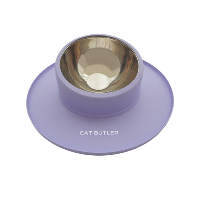 Anti-Slip Dual Silicone Pet Bowl – No-Spill Elevated Food And Water Mat Station