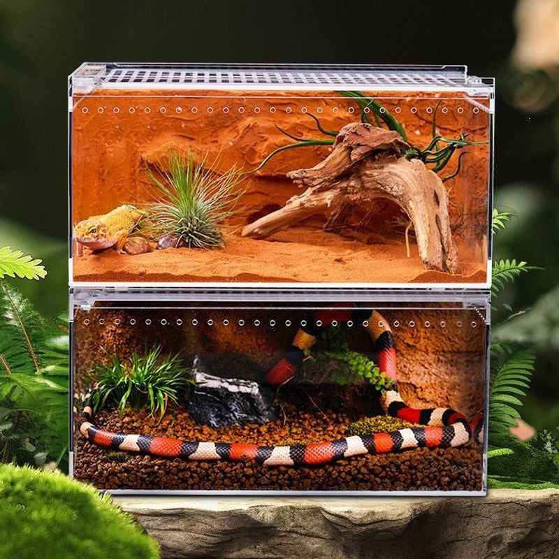 Seamless Reptile Breeding Enclosure Box – Leak-Proof Insect Habitat and Brooder Station