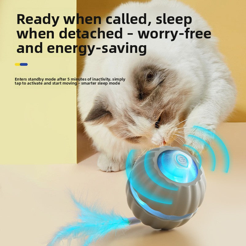 Smart Motorized Automatic Bouncing Cat Ball – Interactive Heavy-Duty Bite-Resistant Toy