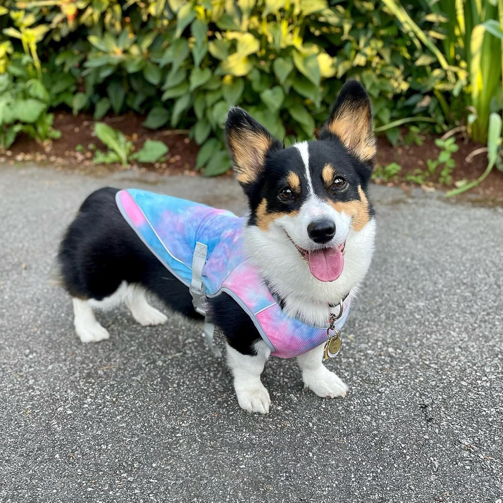 Advanced Heat Relief Cooling Dog Vest – Lightweight Breathable UV Protection Sun Coat