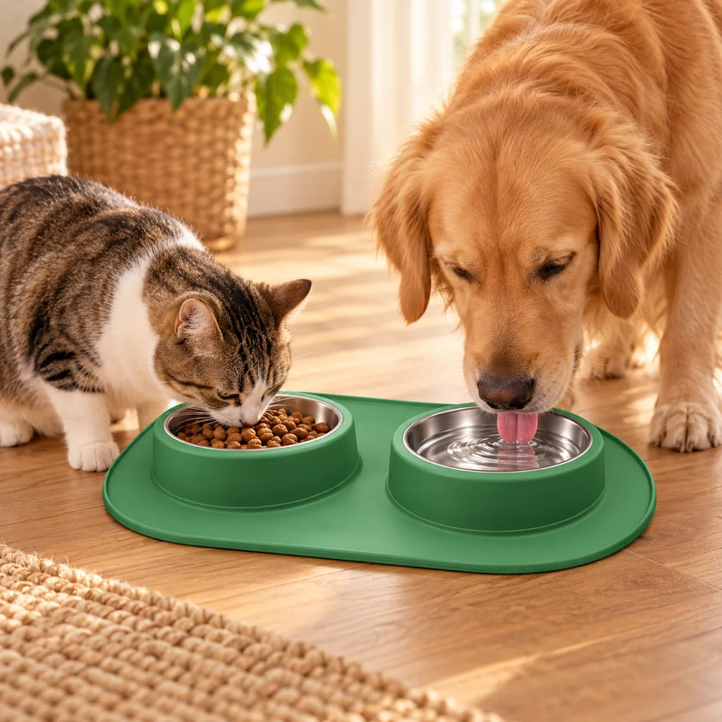 Anti-Slip Dual Stainless Steel Pet Bowl – No-Spill Silicone Food Water Station