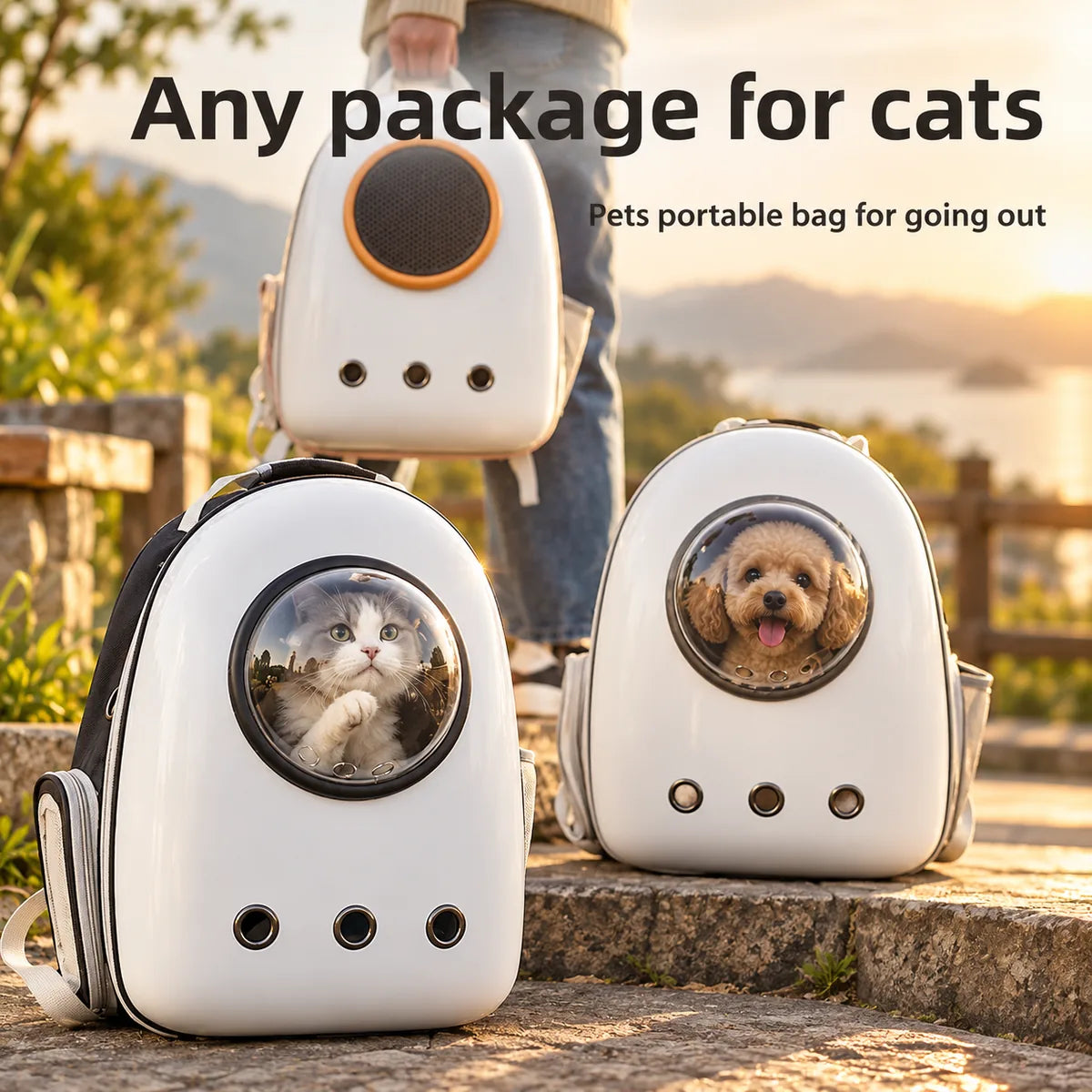 Transparent Bubble Window Pet Carrier Backpack – Breathable Multi-Ventilation Travel Capsule