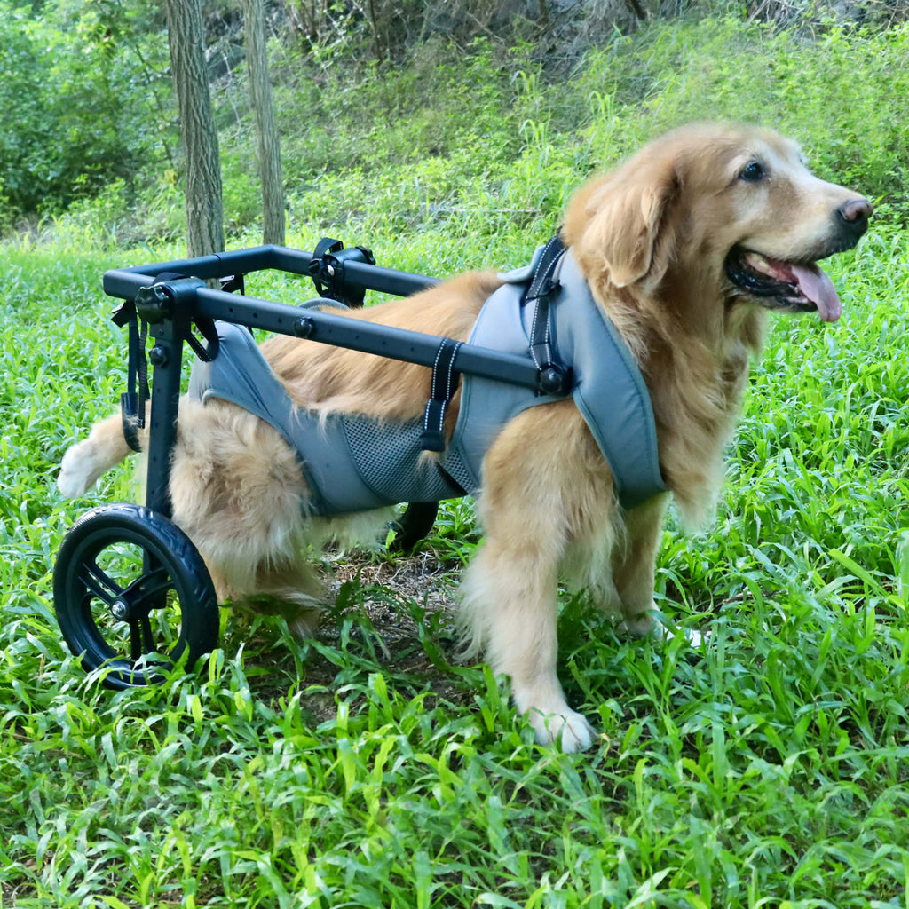 Adjustable Multi-Wheel Pet Dog Wheelchair – Foldable Hind Limb Mobility Rehabilitation Cart