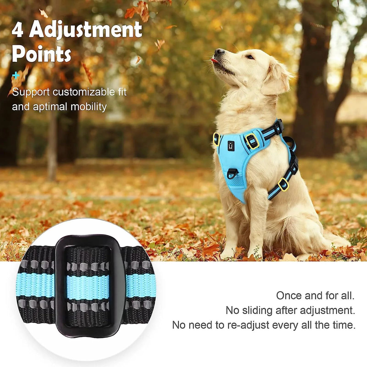 No-Pull Soft Padded Dog Harness Vest – Comfortable Control Everyday Walking Solution