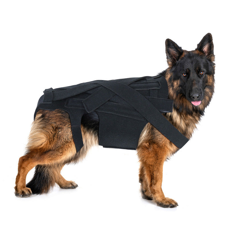 Adjustable Dog Back Support Vest – Spinal Protection And Recovery Rehabilitation Wrap