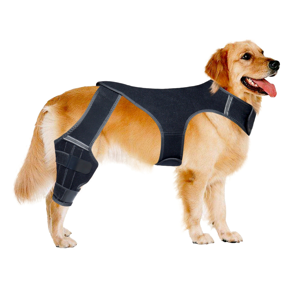 Adjustable Dog Hind Leg Joint Support Vest – Anti-Slip Breathable Mobility Protector