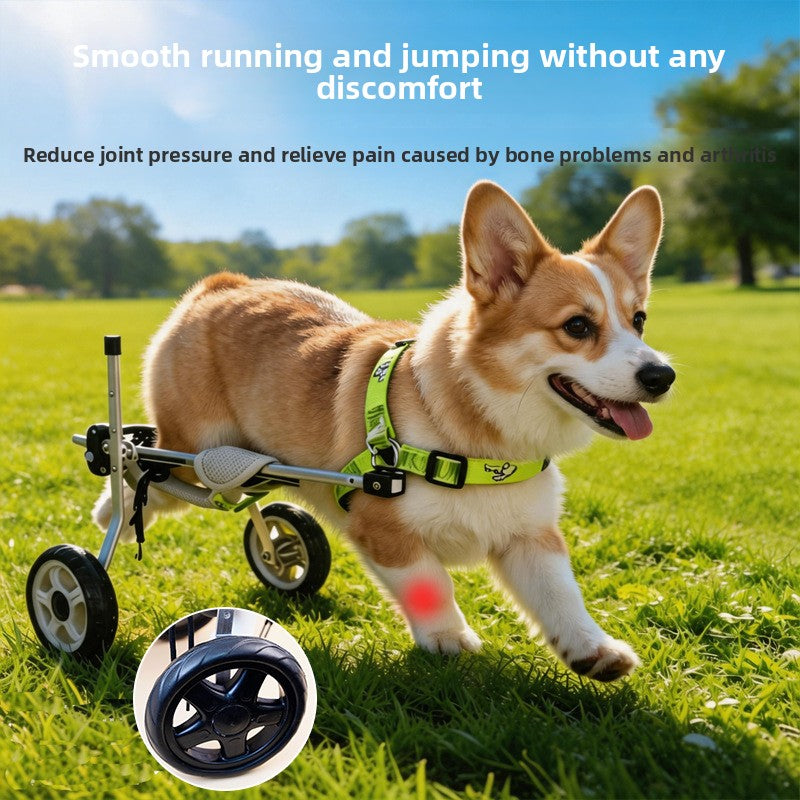 Adjustable Two-Wheeled Small Pet Wheelchair – Hind Leg Paralysis Mobility Rehabilitation Walker