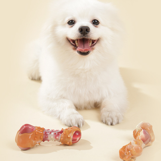 Heavy-Duty Rubber Teething Dog Toy – Bone Chicken Leg Molar Dental Health Bone