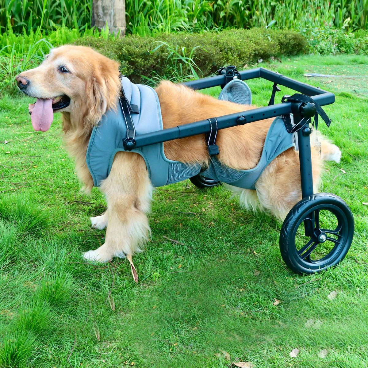 Adjustable Multi-Wheel Pet Dog Wheelchair – Foldable Hind Limb Mobility Rehabilitation Cart