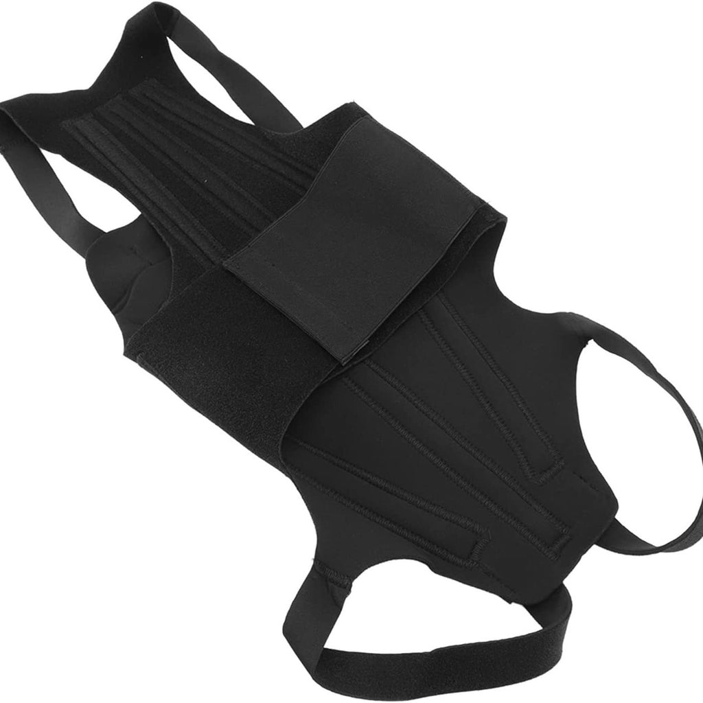 Adjustable Dog Back Support Vest – Spinal Protection And Recovery Rehabilitation Wrap