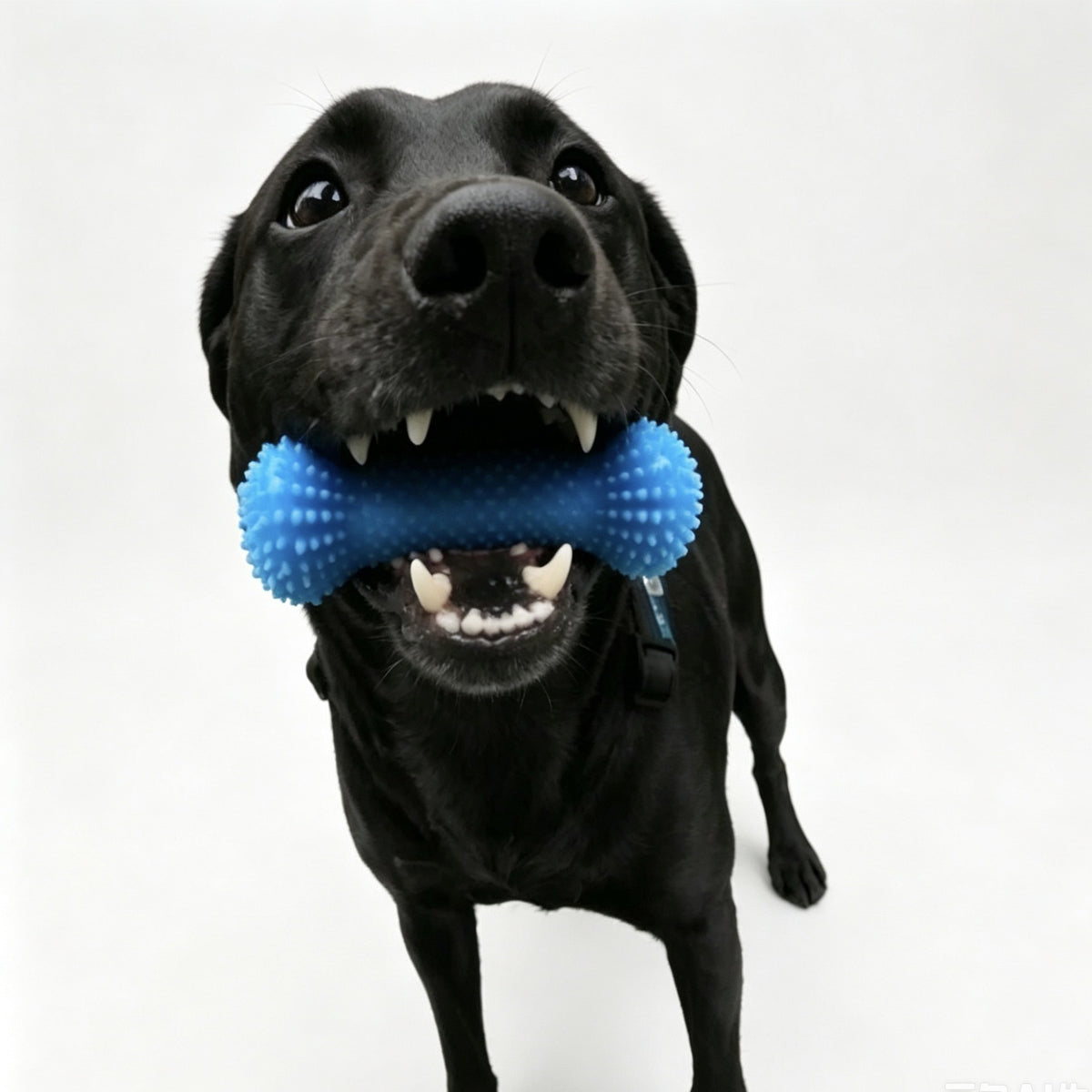 Heavy-Duty Rubber Bone Dog Chew Toy – Indestructible Dental Health Boredom Relief Trimmer