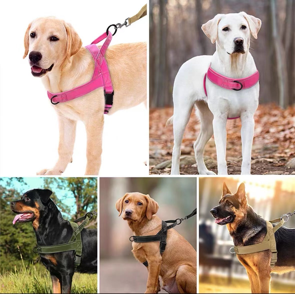 Heavy-Duty Explosion-Proof Tactical Dog Harness – Rugged Training Vest With Safety Collar