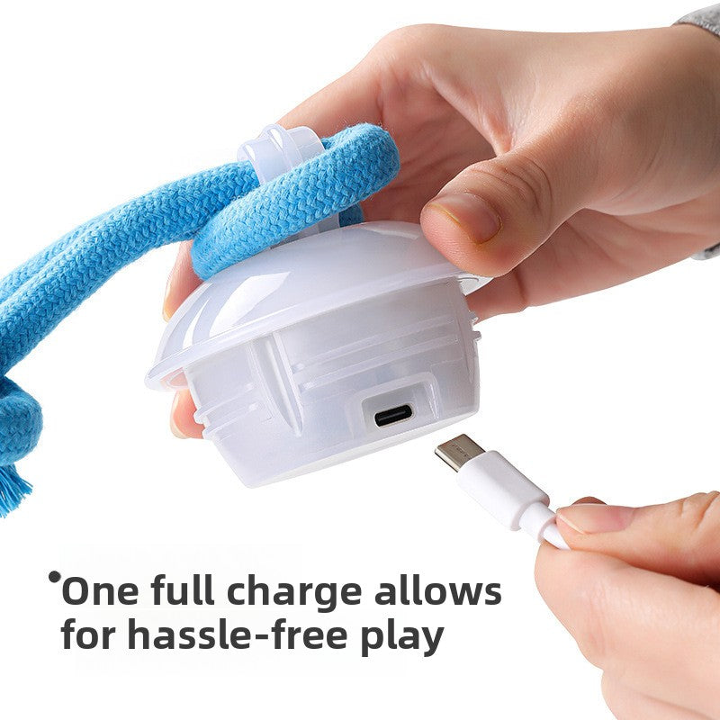 Smart Rechargeable Interactive Dog Ball – Light Sound Bite-Resistant Dental Training Toy