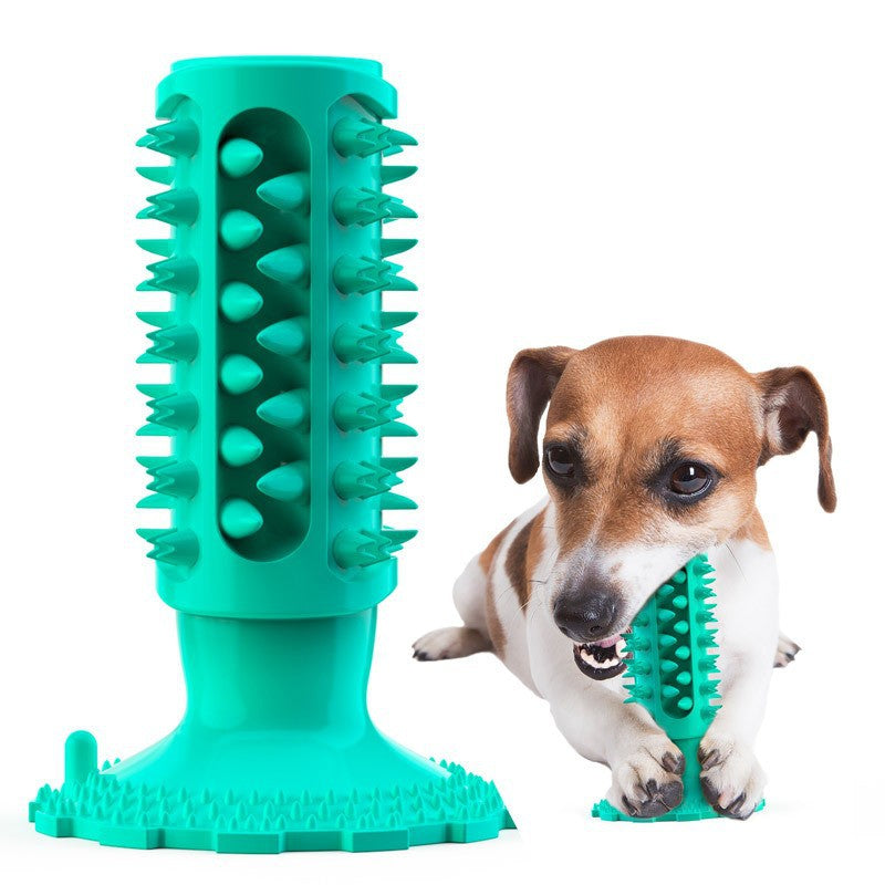 Squeaky TPR Dog Chew Toy – Indestructible Dental Health Interactive Boredom Relief Bone